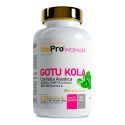 LIFE PRO WOMAN GOTU KOLA 1000MG 90 VEGANCAPS