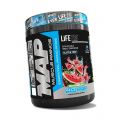 LIFE PRO MAP 300 G.
