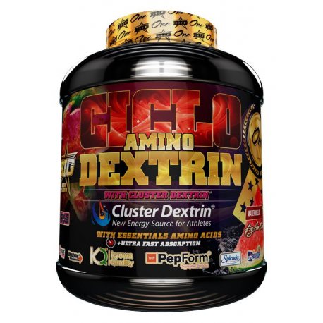 BIG CICLO AMINO DEXTRIN 1.5KG