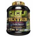 BIG CICLO AMINO DEXTRIN 1.5KG